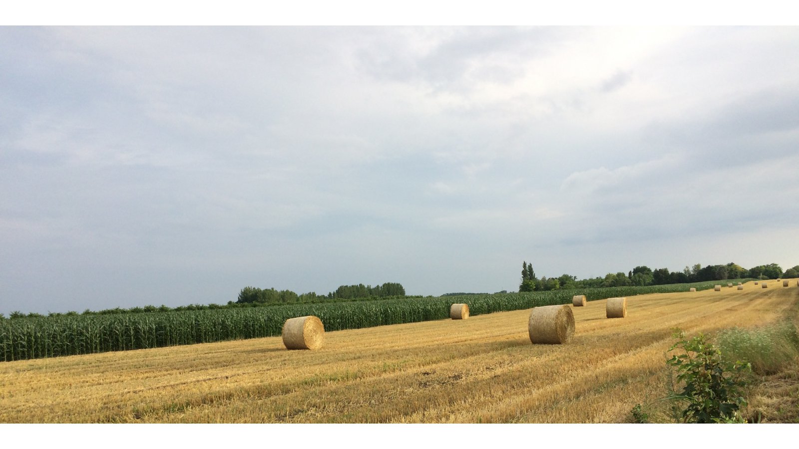 Pincelakat Borház és Szálloda