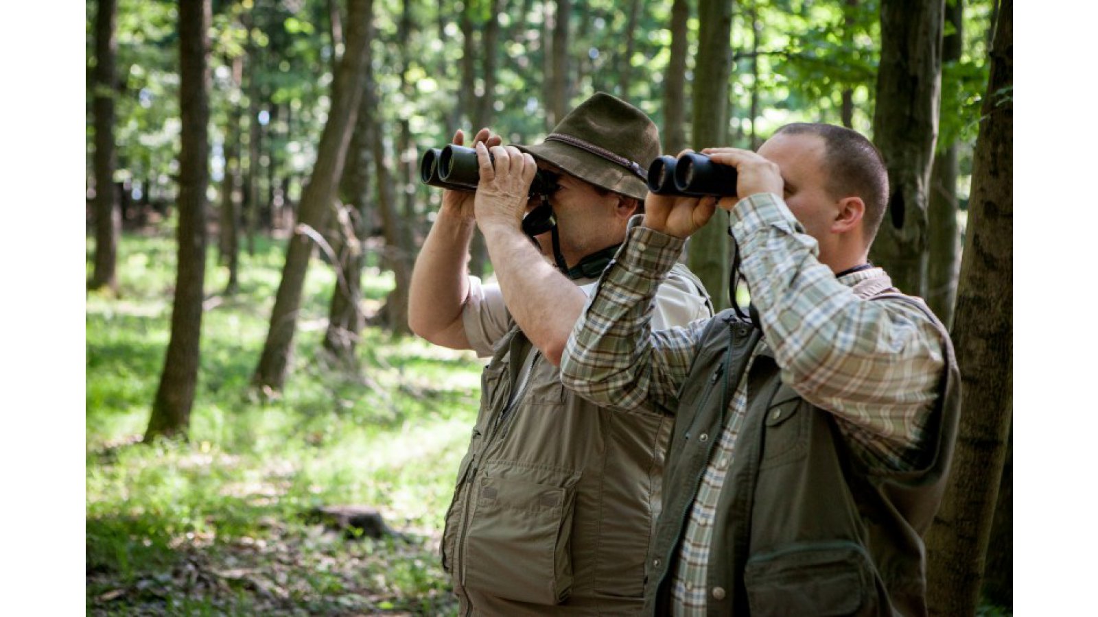 Kőkapu Vadászkastély és Hotel