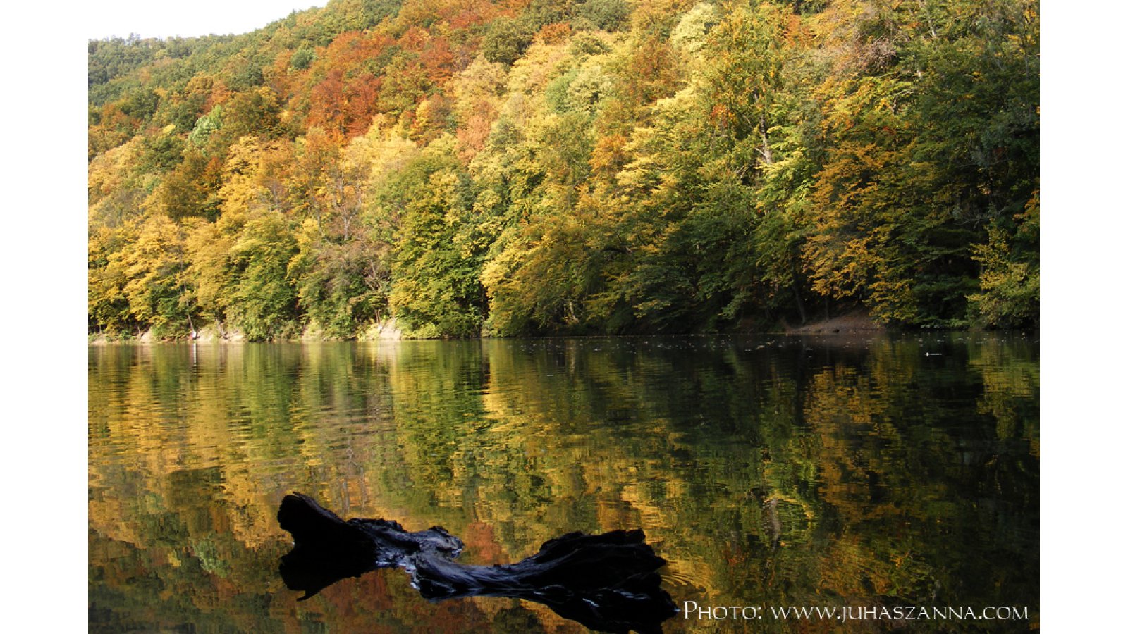 Hotel Tókert Szálloda és Étterem