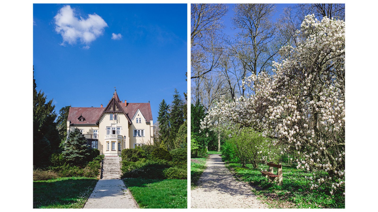 Festetich Kastély és Zsuzsanna Hotel