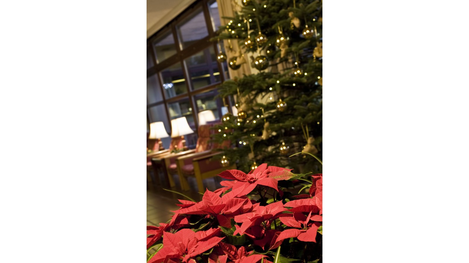 Danubius Health Spa Resort Sárvár