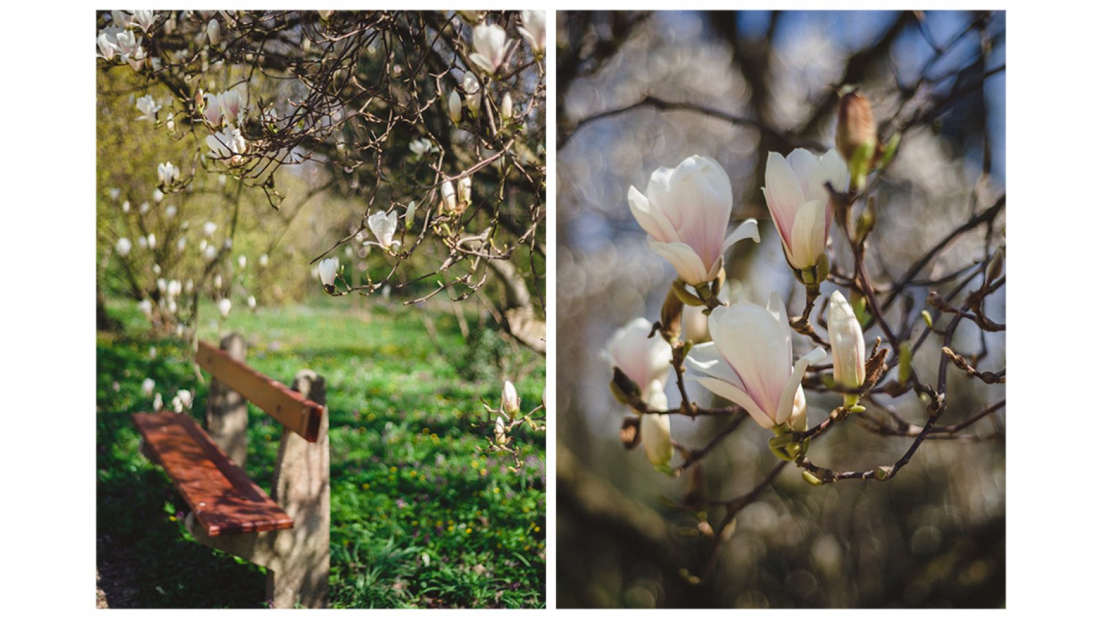 Festetich Kastély és Zsuzsanna Hotel