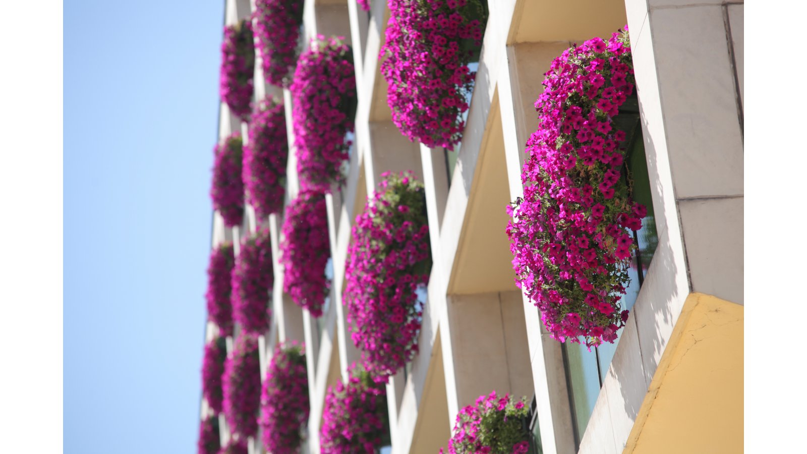 Aranyhomok Business City Wellness Hotel