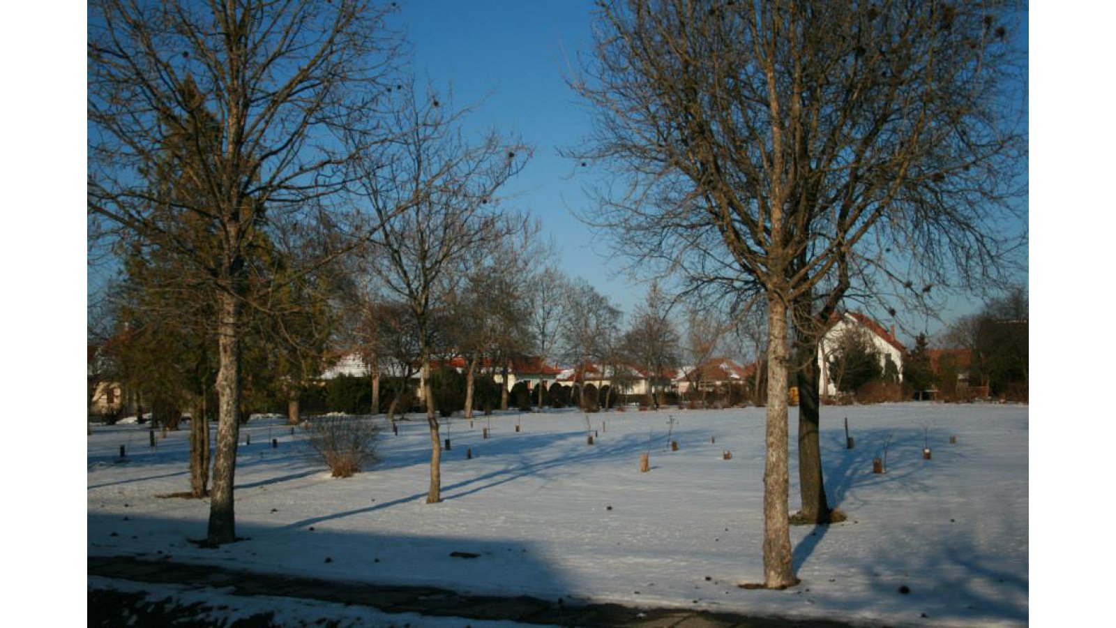 Pincelakat Borház és Szálloda