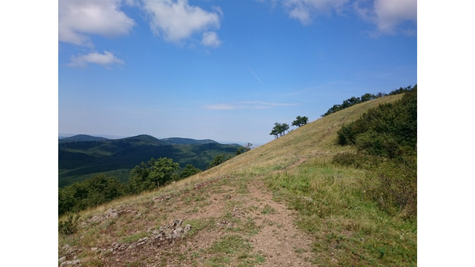 Szent Orbán Erdei Wellness Hotel