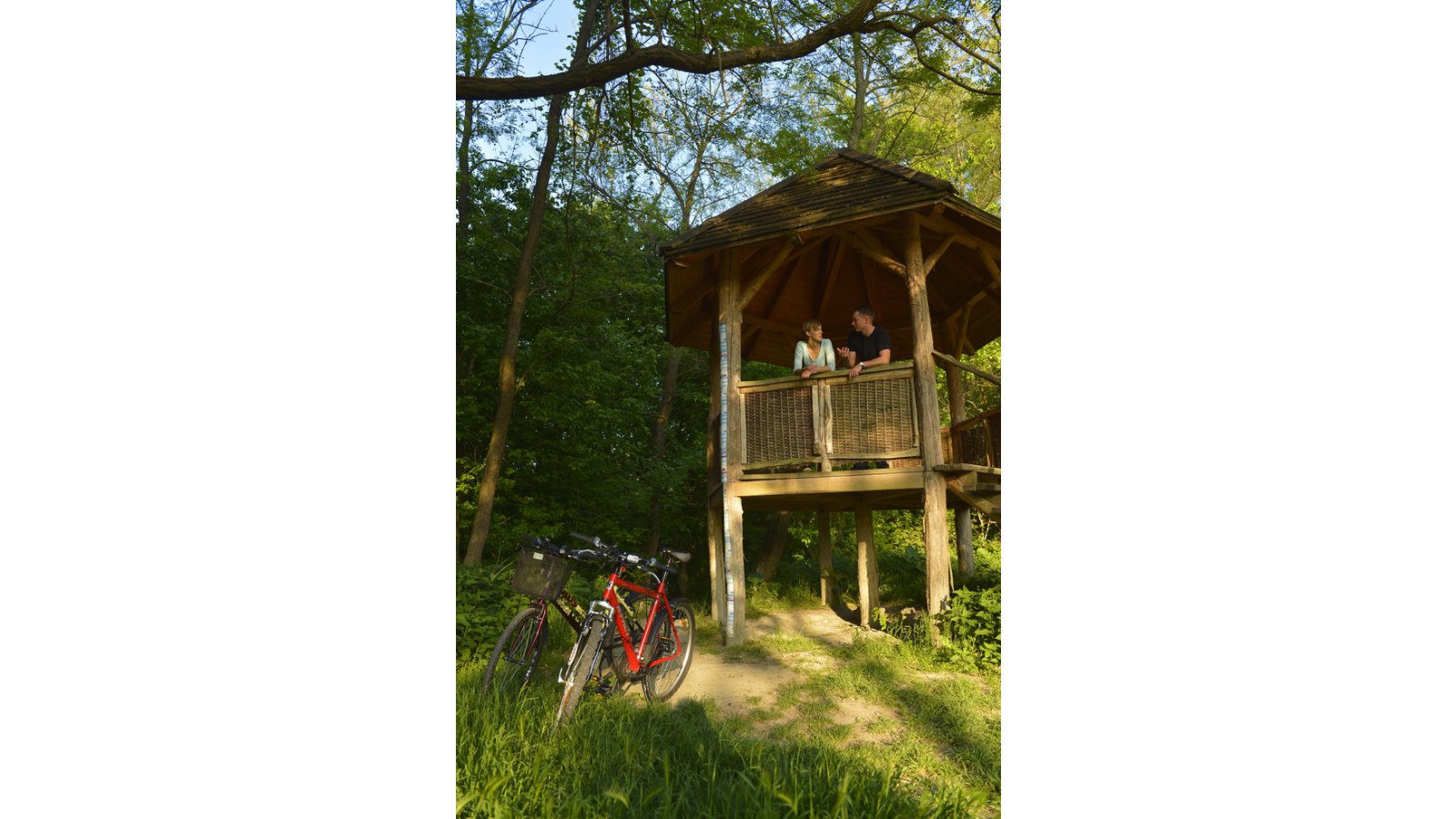 Jankovich Kúria Wellness Hotel