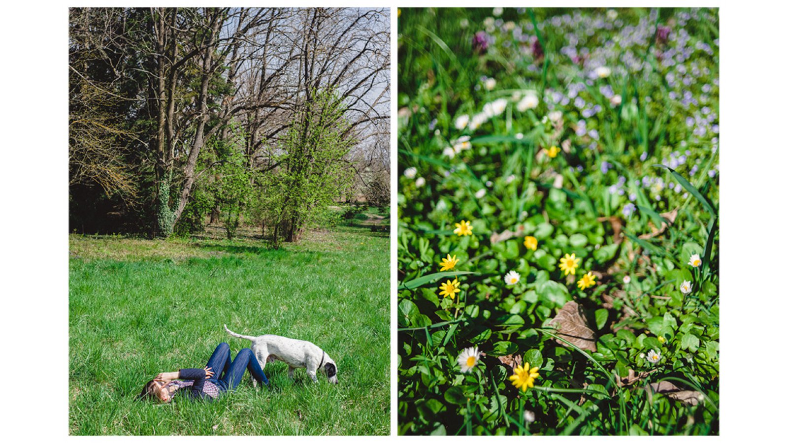 Festetich Kastély és Zsuzsanna Hotel