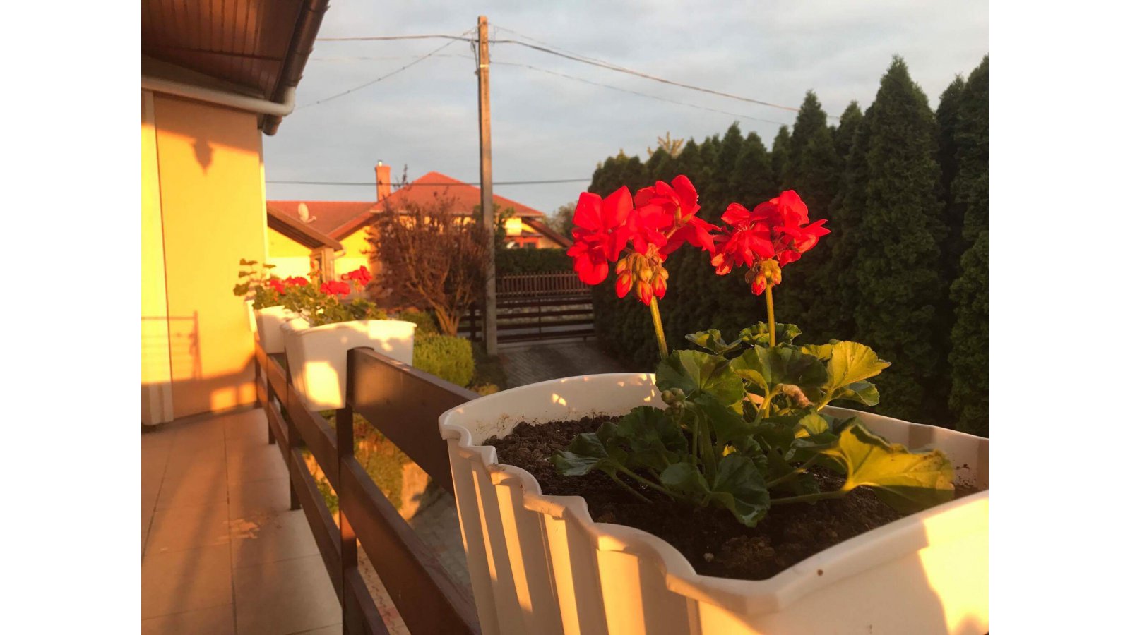 Exclusive Wellness Apartman