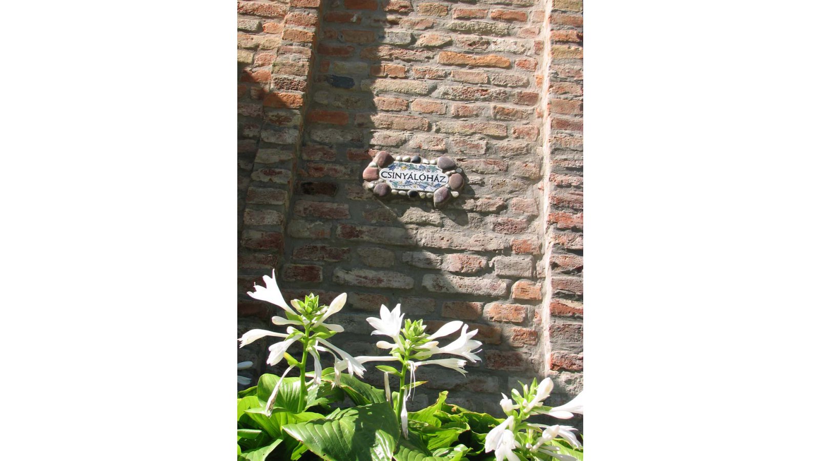 Cserépmadár szállás és Csinyálóház