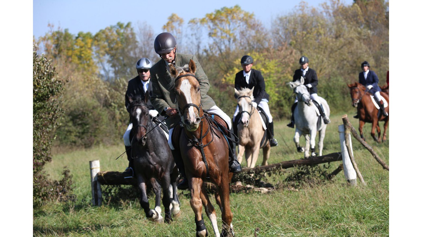 Equital Lovasudvar és Wellness Panzió