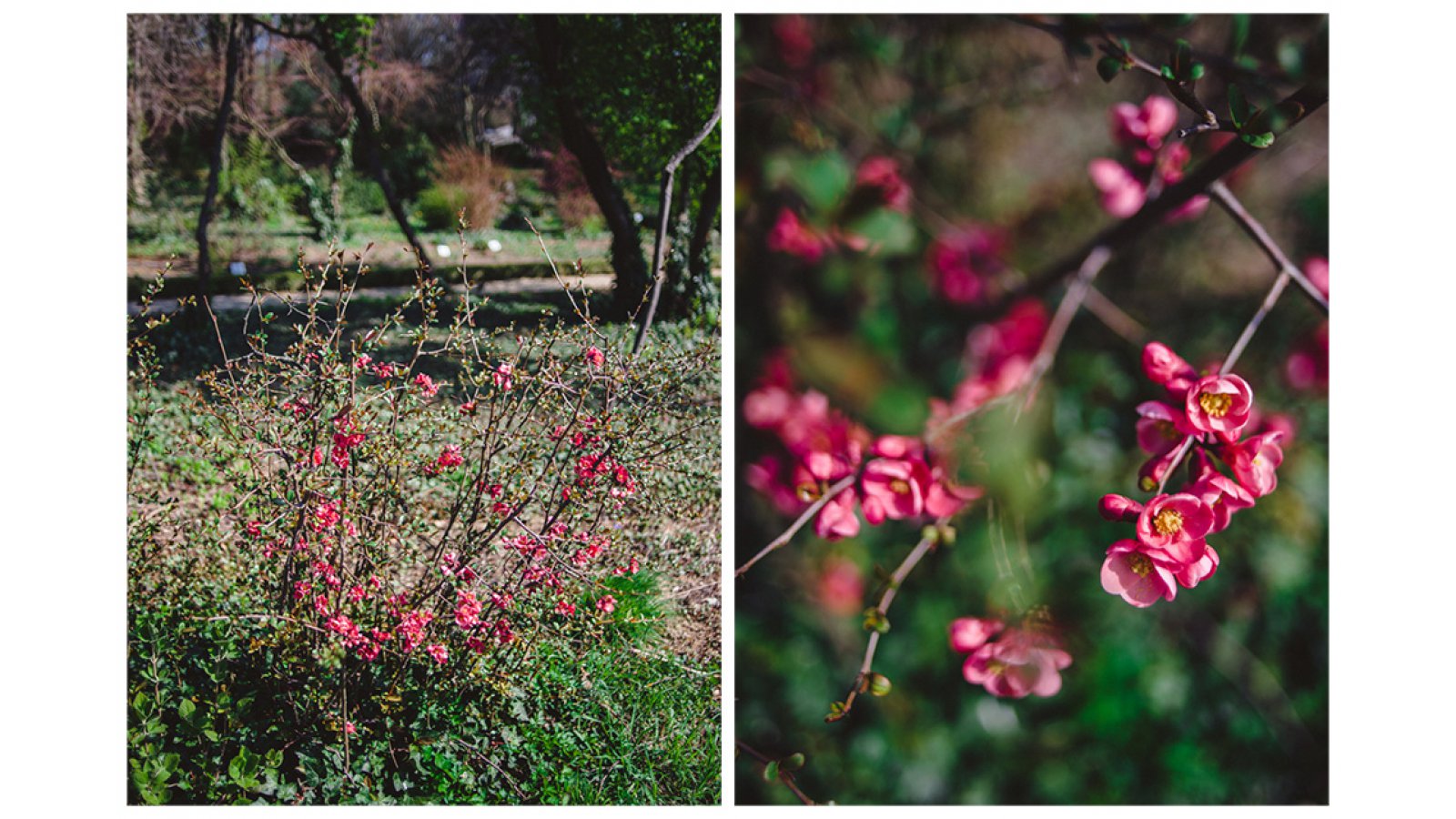 Festetich Kastély és Zsuzsanna Hotel