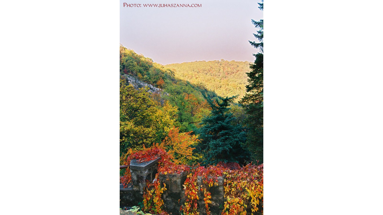 Hotel Tókert Szálloda és Étterem