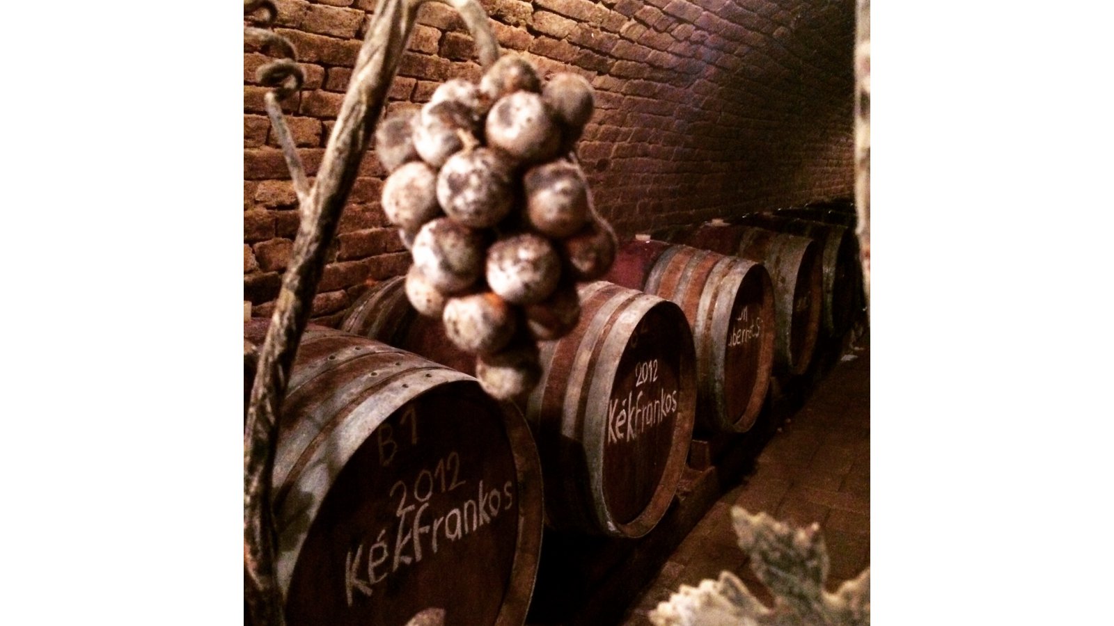 Pincelakat Borház és Szálloda